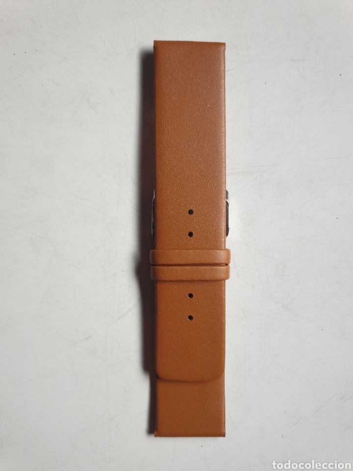 Pi&egrave;ces de rechange de montres et horloges: CORREA RELOJ DILOY TALLA 24