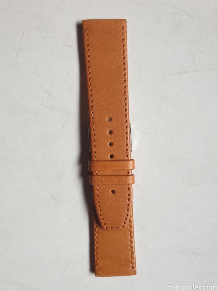 Pi&egrave;ces de rechange de montres et horloges: CORREA RELOJ DILOY TALLA 24