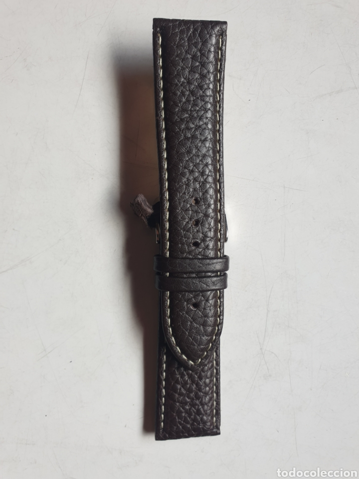 Pi&egrave;ces de rechange de montres et horloges: CORREA RELOJ DILOY TALLA 24