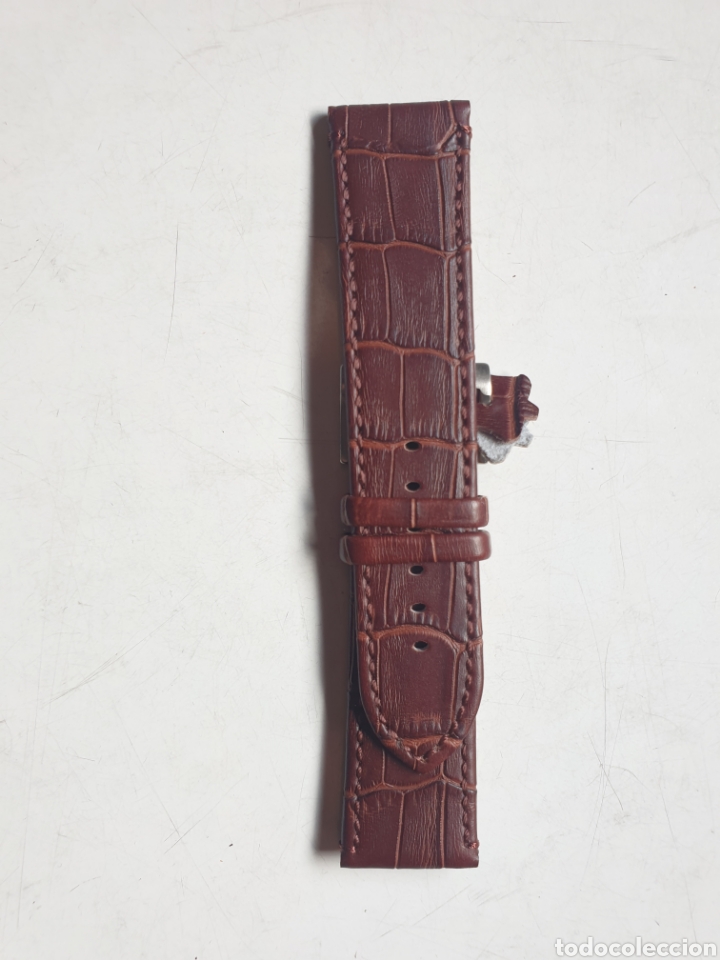 Pe&ccedil;as de reposi&ccedil;&atilde;o de rel&oacute;gios: CORREA RELOJ DILOY TALLA 24