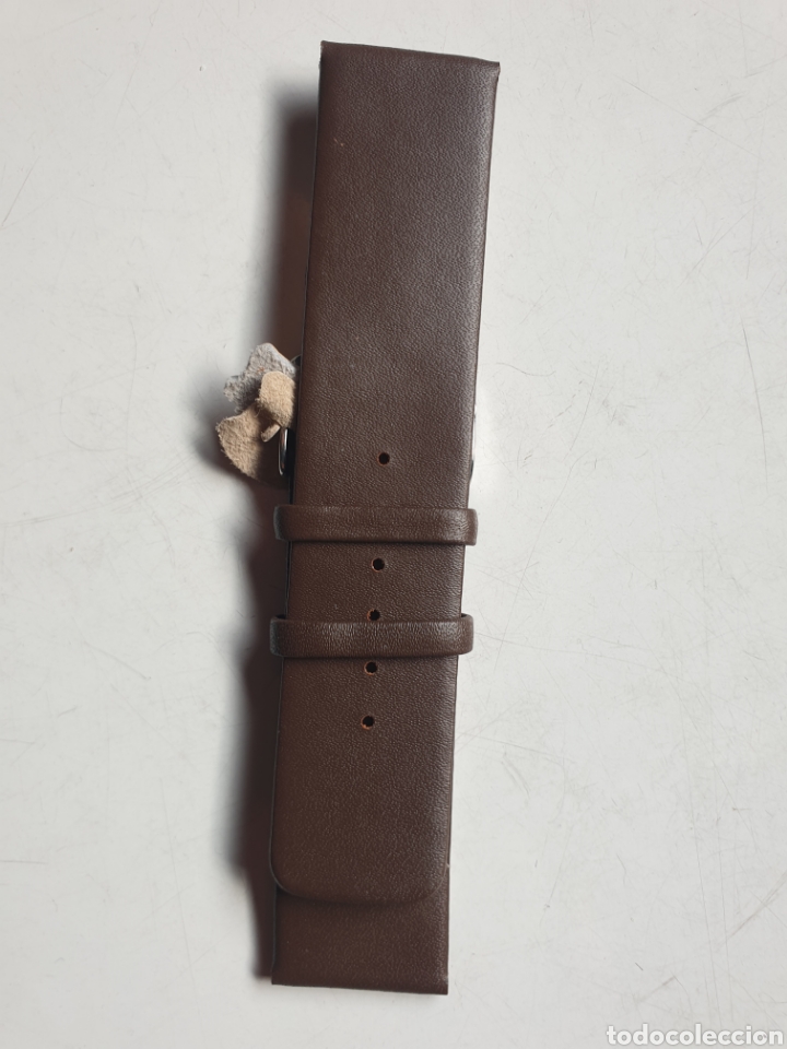 Pi&egrave;ces de rechange de montres et horloges: CORREA RELOJ DILOY TALLA 24