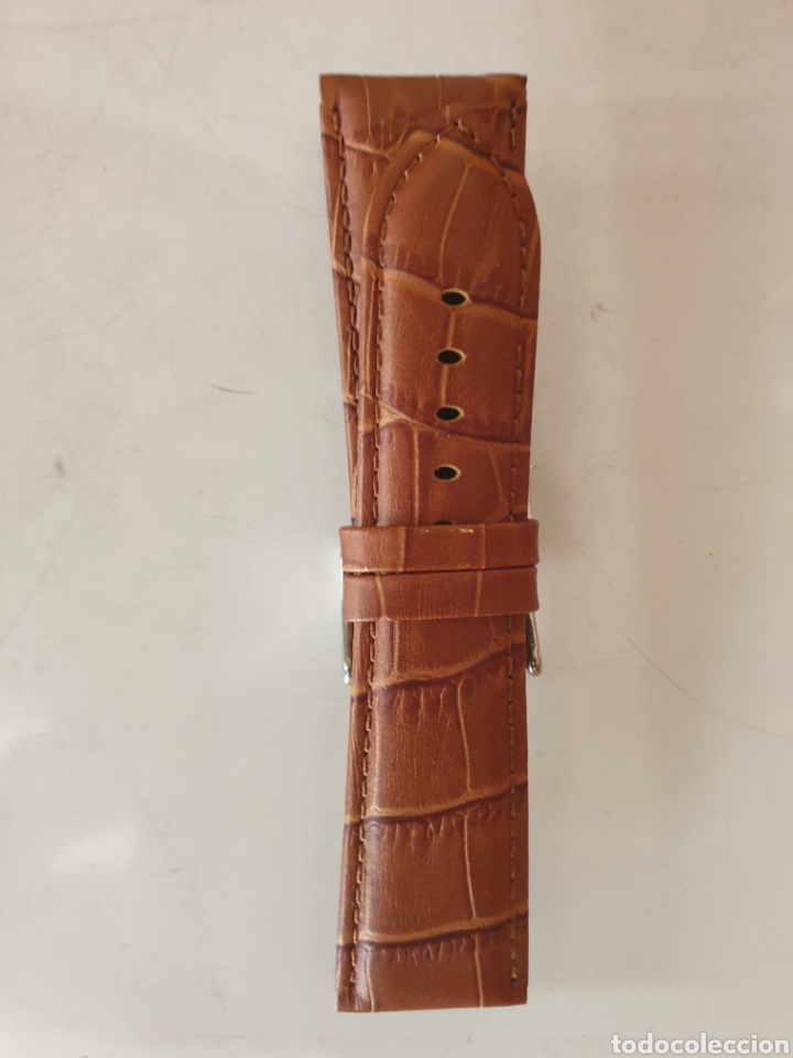 Pe&ccedil;as de reposi&ccedil;&atilde;o de rel&oacute;gios: CORREA RELOJ DILOY TALLA 26