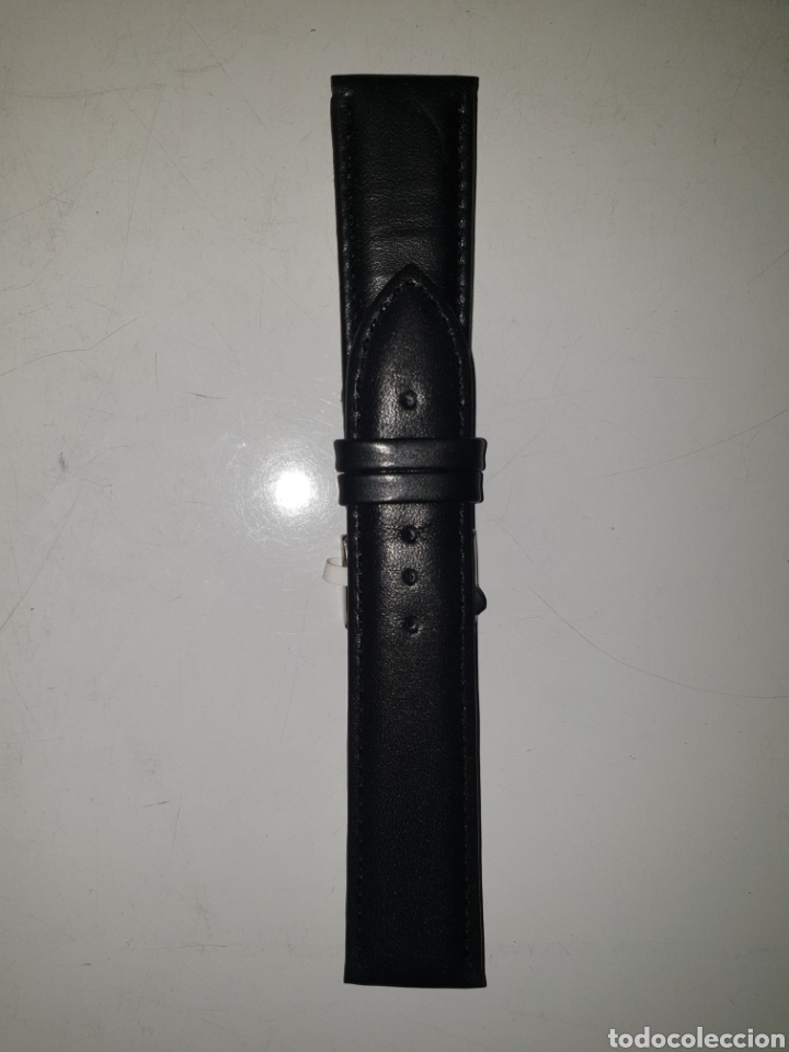 Pi&egrave;ces de rechange de montres et horloges: CORREA RELOJ DILOY TALLA 22