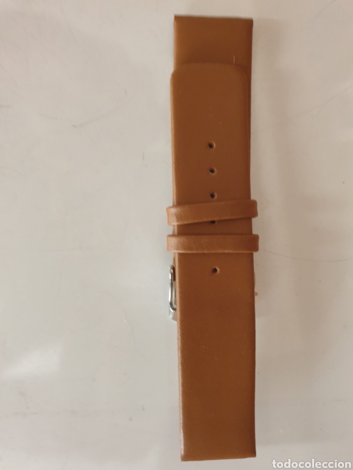 Pi&egrave;ces de rechange de montres et horloges: CORREA RELOJ DILOY TALLA 22