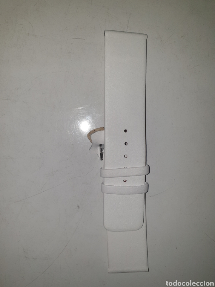 Pe&ccedil;as de reposi&ccedil;&atilde;o de rel&oacute;gios: CORREA RELOJ DILOY TALLA 24