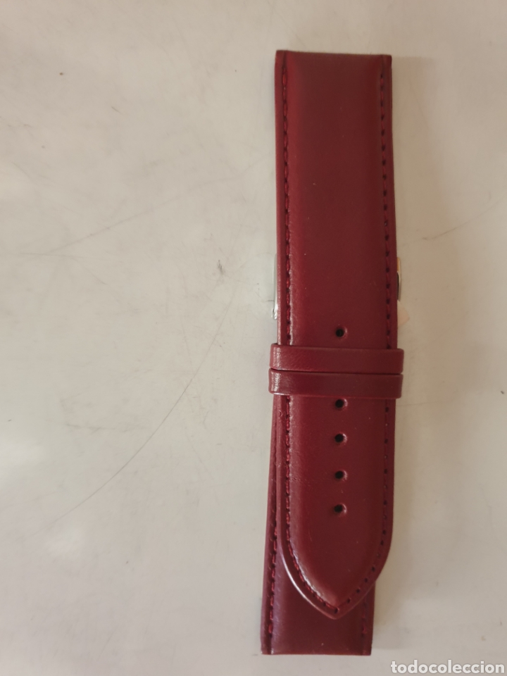 Spare Parts for Watches: CORREA RELOJ DILOY TALLA 24