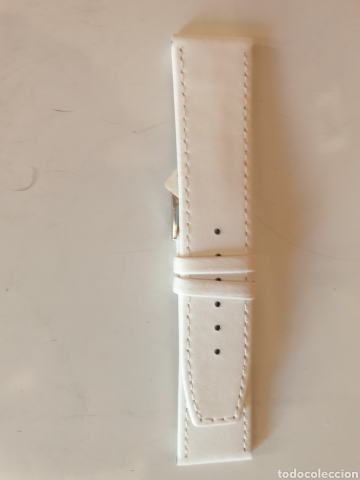 Spare Parts for Watches: CORREA RELOJ DILOY TALLA 24