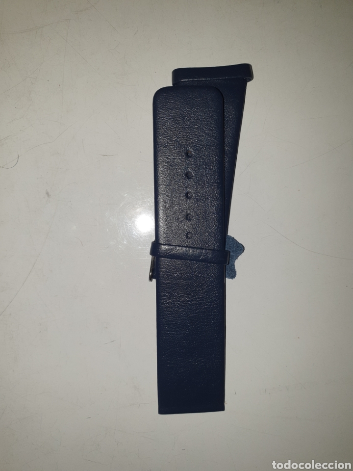 Pi&egrave;ces de rechange de montres et horloges: CORREA RELOJ DILOY TALLA 24