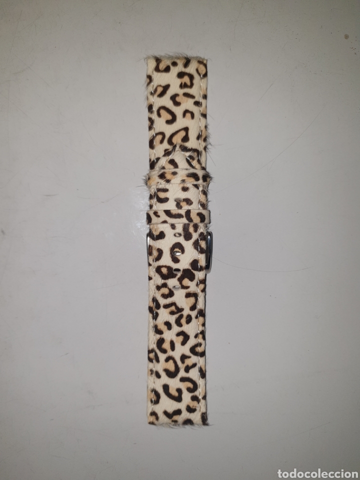 Spare Parts for Watches: CORREA RELOJ DILOY TALLA 24