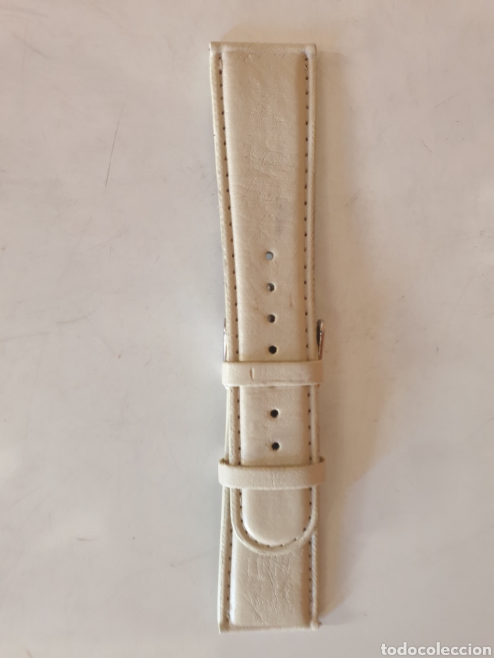 Pi&egrave;ces de rechange de montres et horloges: CORREA RELOJ DILOY TALLA 24