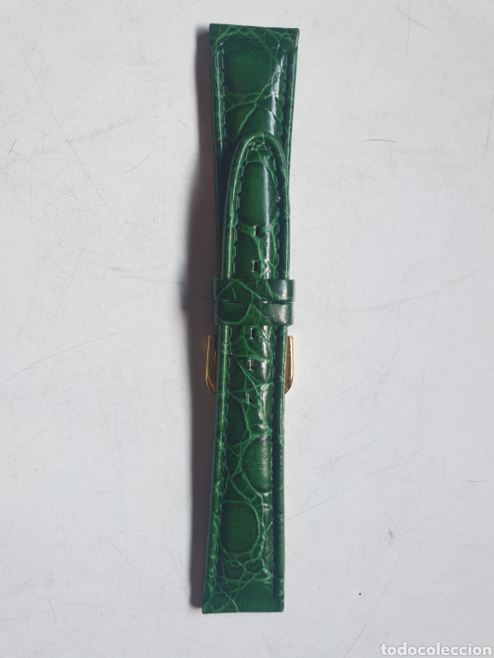 Pi&egrave;ces de rechange de montres et horloges: CORREA RELOJ DILOY TALLA 20