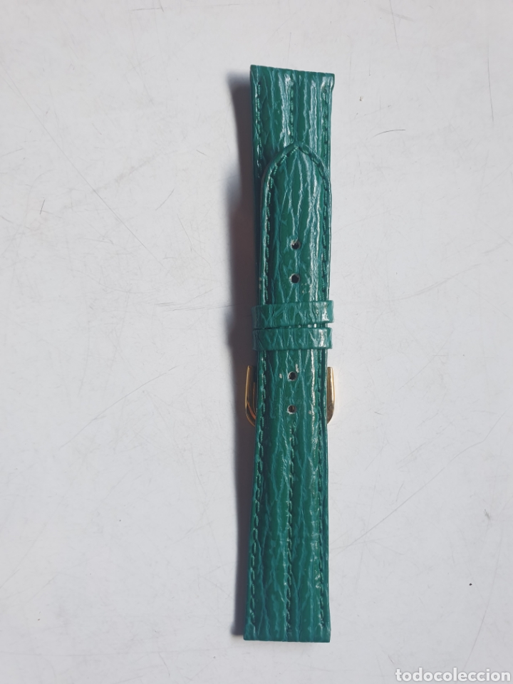 Pi&egrave;ces de rechange de montres et horloges: CORREA RELOJ DILOY TALLA 20