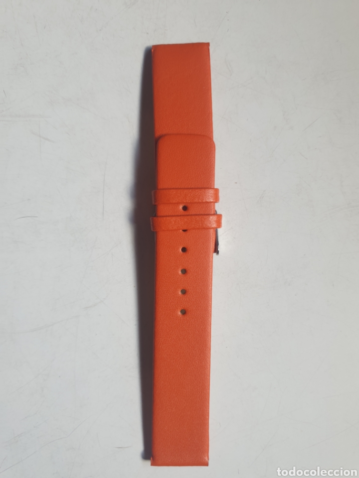 Pi&egrave;ces de rechange de montres et horloges: CORREA RELOJ DILOY TALLA 20