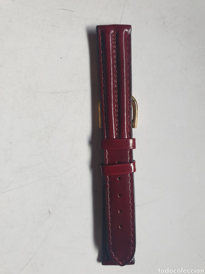 Pe&ccedil;as de reposi&ccedil;&atilde;o de rel&oacute;gios: CORREA RELOJ DILOY TALLA 16