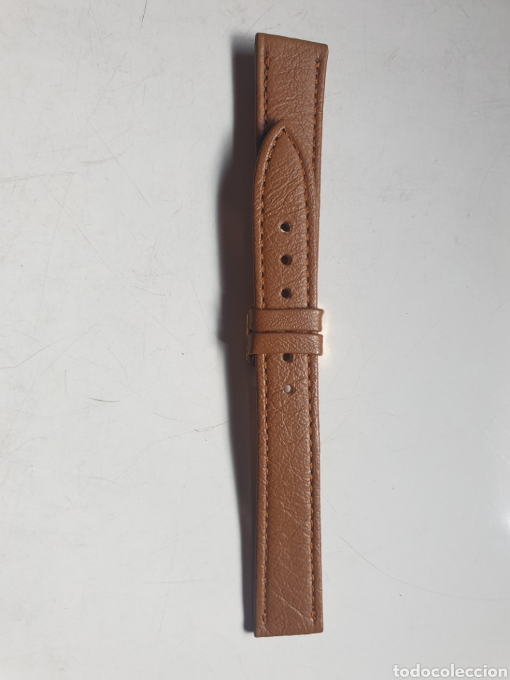 Pe&ccedil;as de reposi&ccedil;&atilde;o de rel&oacute;gios: CORREA RELOJ DILOY TALLA 16