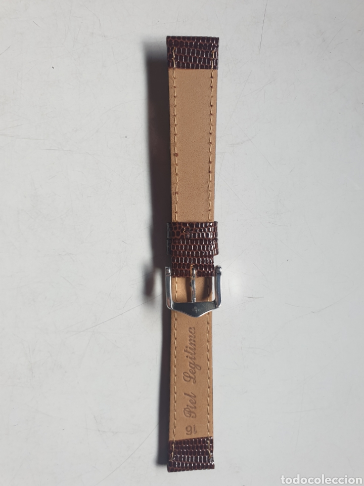 Recambios de relojes: CORREA RELOJ DILOY TALLA 16 - Foto 2