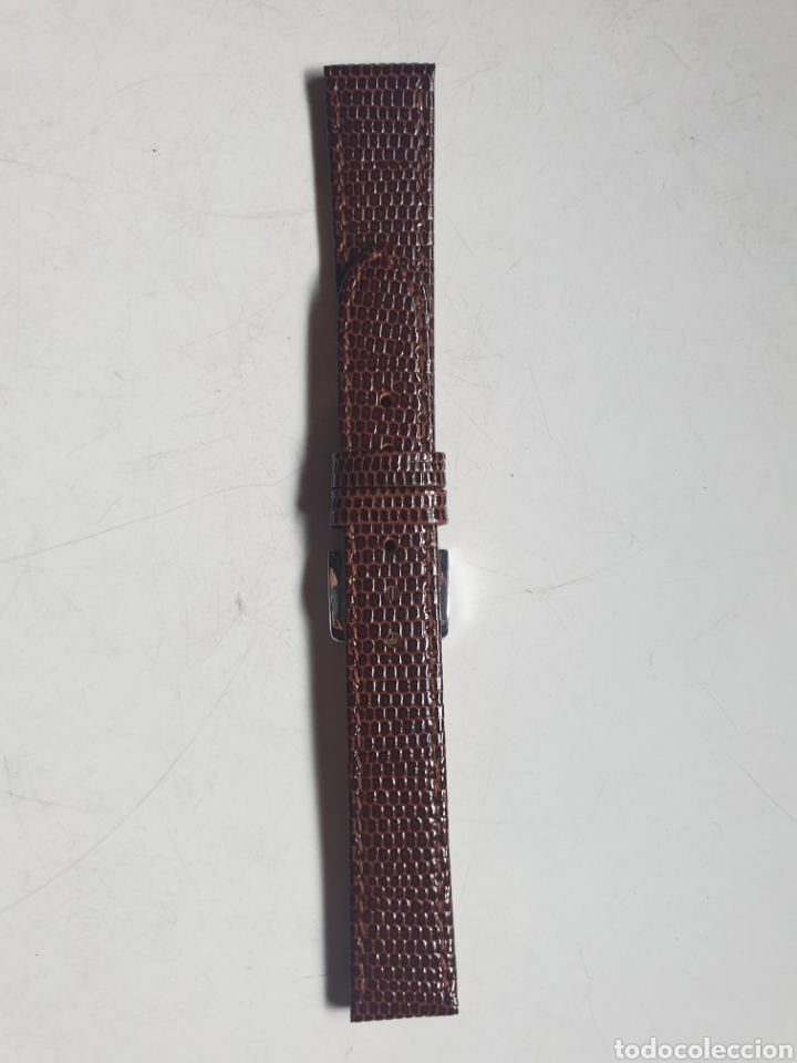 Pe&ccedil;as de reposi&ccedil;&atilde;o de rel&oacute;gios: CORREA RELOJ DILOY TALLA 16