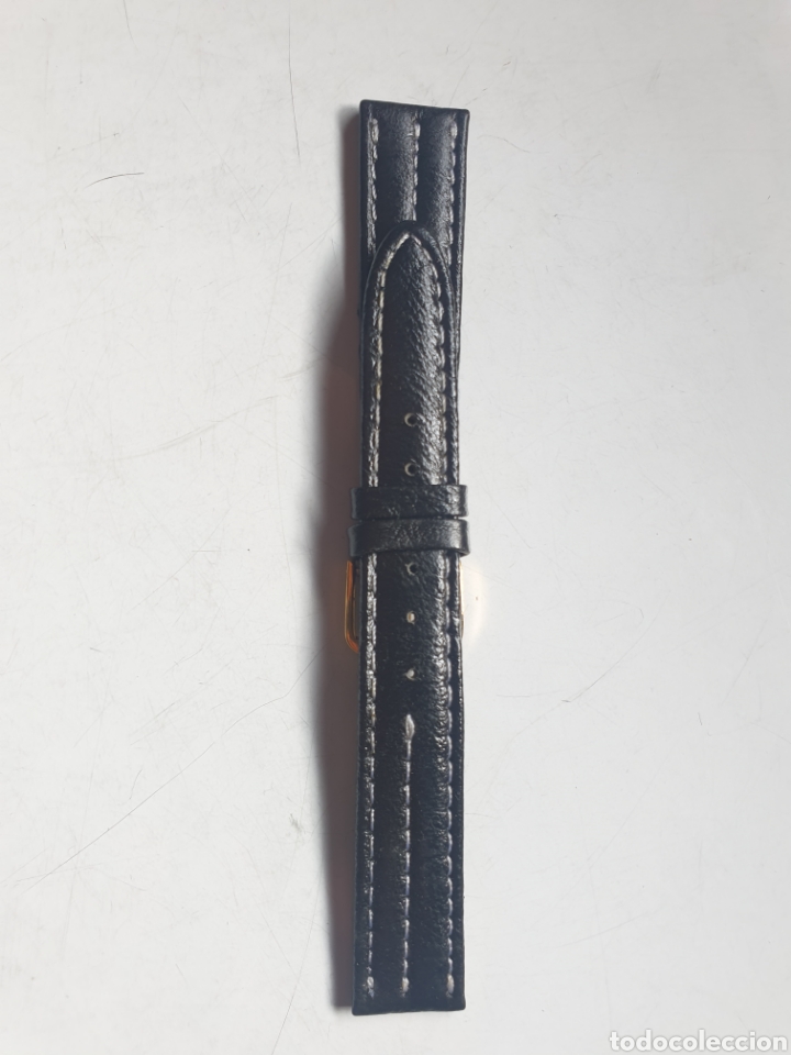 Pi&egrave;ces de rechange de montres et horloges: CORREA RELOJ DILOY TALLA 16