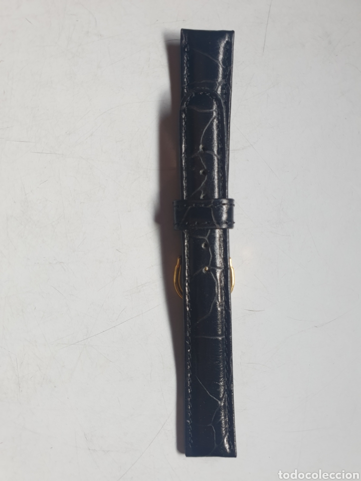 Pi&egrave;ces de rechange de montres et horloges: CORREA RELOJ DILOY TALLA 16
