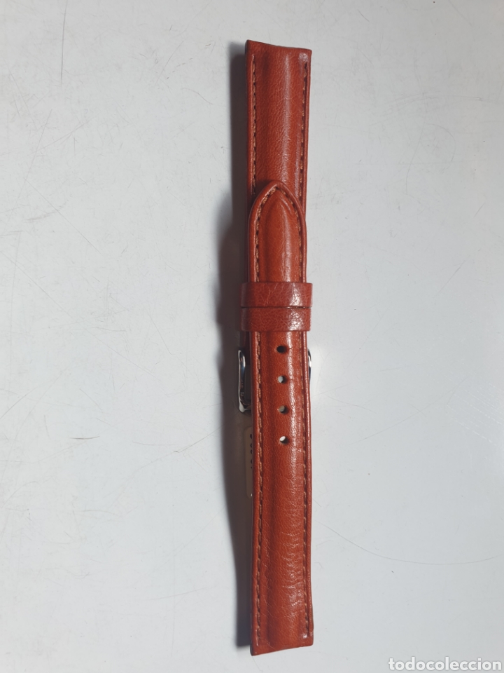 Recambios de relojes: CORREA RELOJ DILOY TALLA 16 - Foto 1