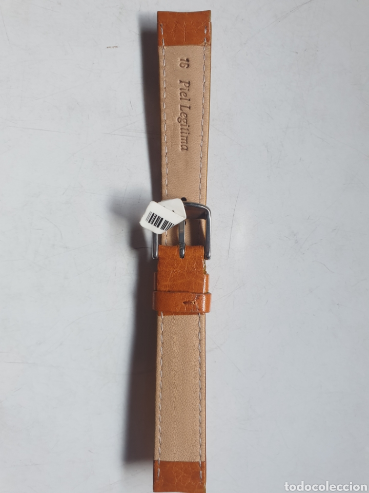 Recambios de relojes: CORREA RELOJ DILOY TALLA 16 - Foto 2