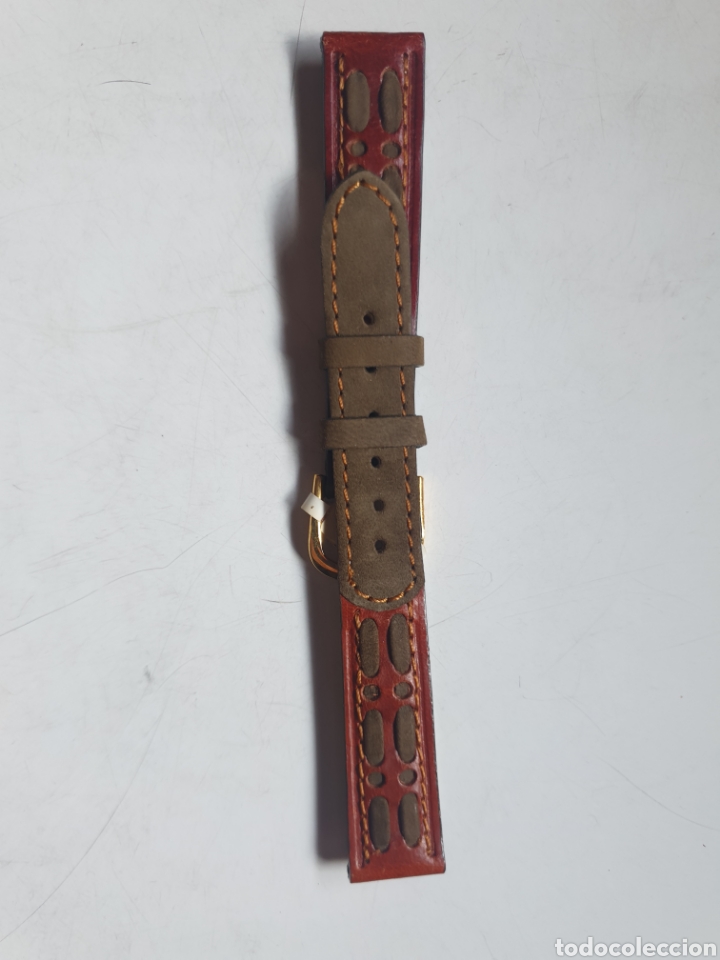 Pi&egrave;ces de rechange de montres et horloges: CORREA RELOJ DILOY TALLA 16