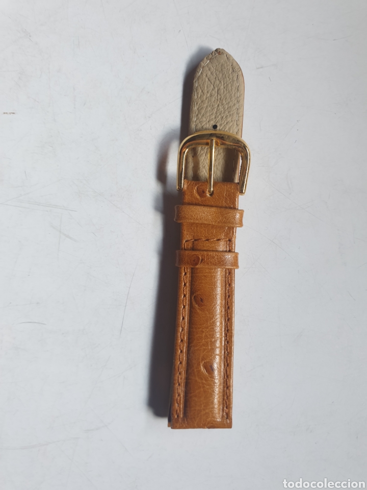 Recambios de relojes: CORREA RELOJ DILOY TALLA 16 - Foto 2