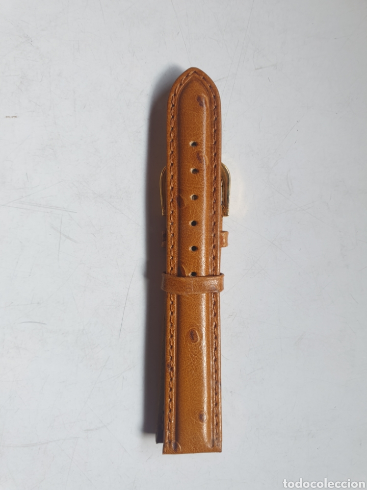 Recambios de relojes: CORREA RELOJ DILOY TALLA 16 - Foto 1