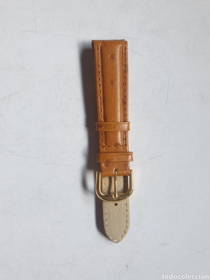 Recambios de relojes: CORREA RELOJ DILOY TALLA 16 - Foto 2