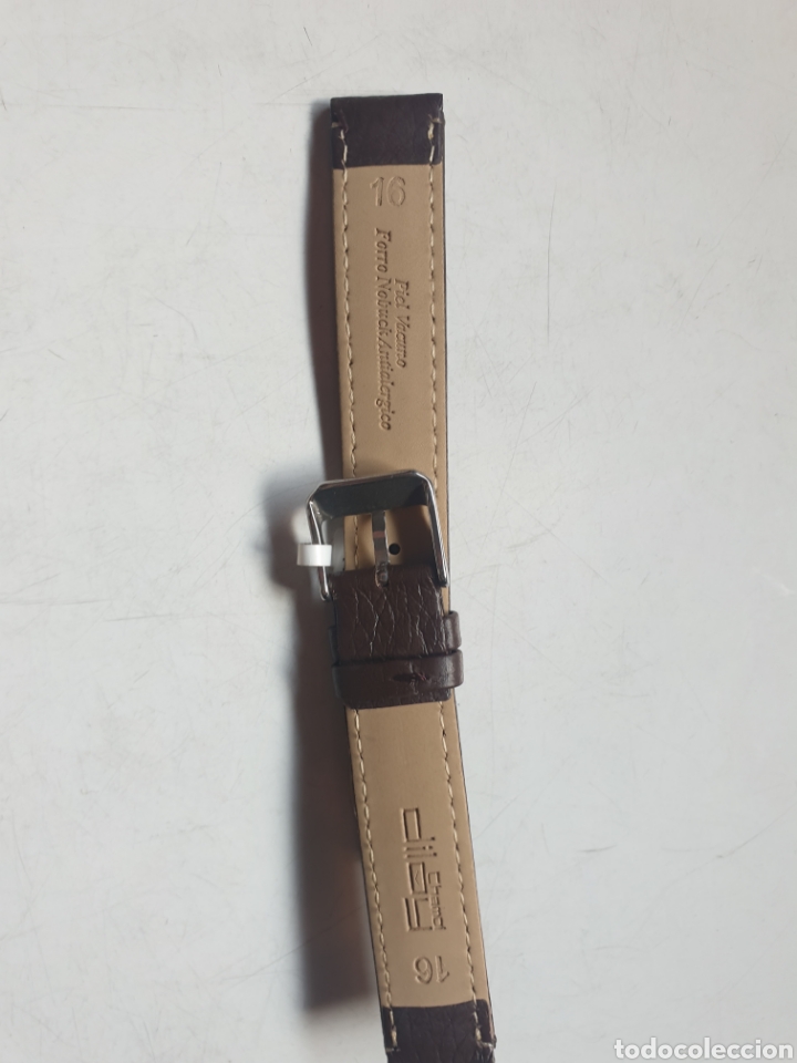 Recambios de relojes: CORREA RELOJ DILOY TALLA 16 - Foto 2