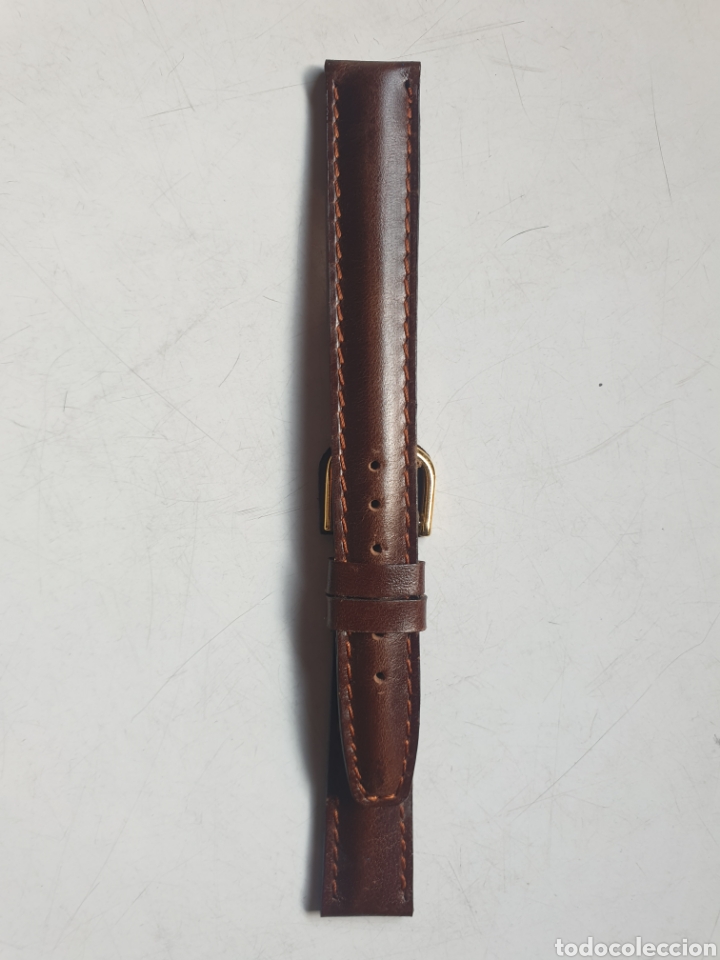 Recambios de relojes: CORREA RELOJ DILOY TALLA 16 - Foto 1