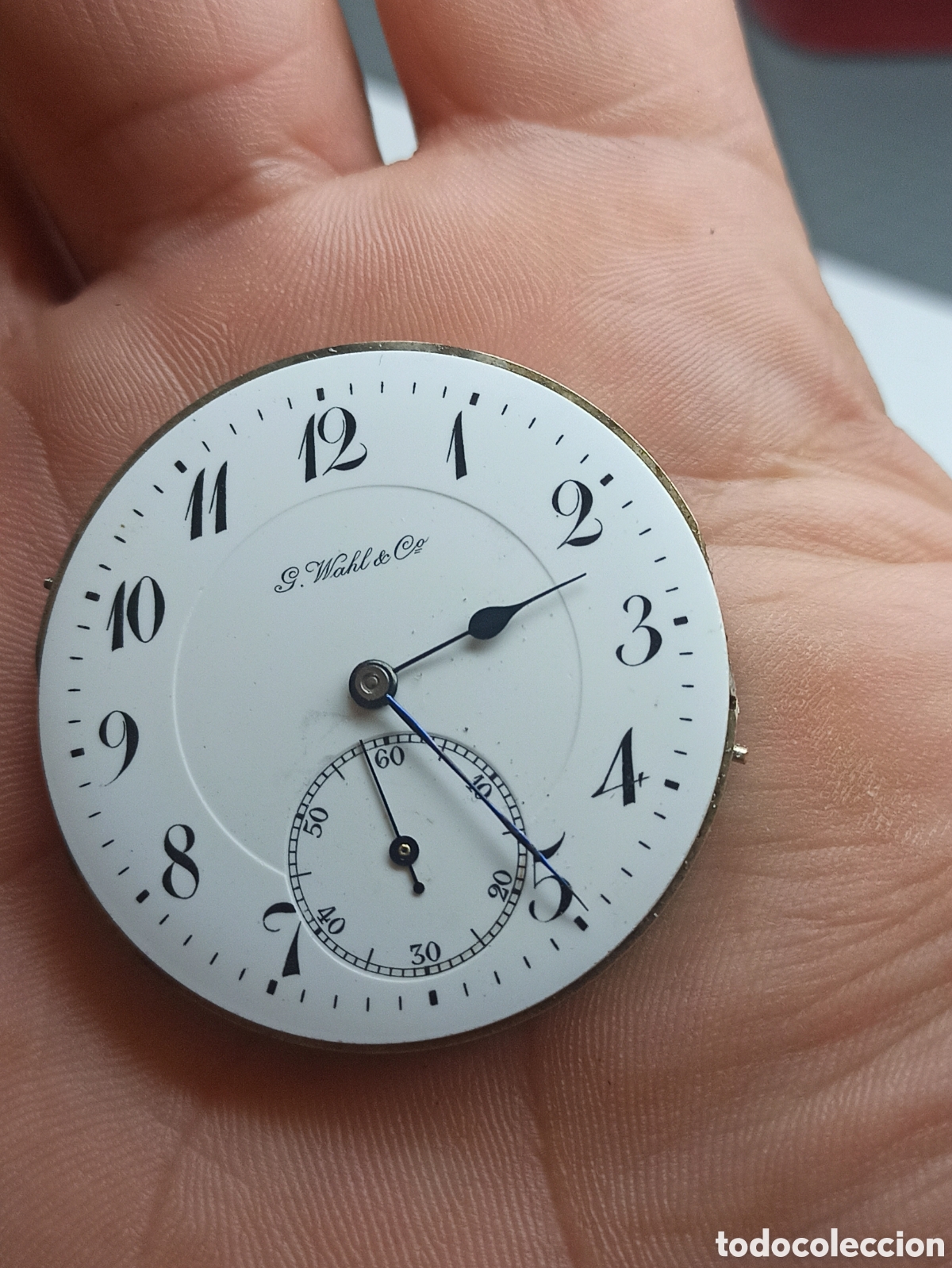 Pe&ccedil;as de reposi&ccedil;&atilde;o de rel&oacute;gios: Mecanismo y Esfera G. Wahl & Co de buena calidad di&aacute;metro 42.81 mm
