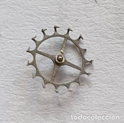 Ricambi di orologi: RUEDA ESCAPE RELOJ VOLSILLO CILINDRO DIAMETRO 8.1/4 ALTURA 2.30 PI&Ntilde;ON 1 M