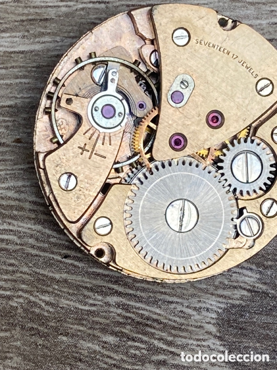 Recambios de relojes: Calibre reloj ref 7F 74 cuerda - Foto 4