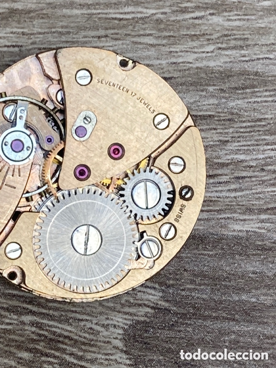 Recambios de relojes: Calibre reloj ref 7F 74 cuerda - Foto 5