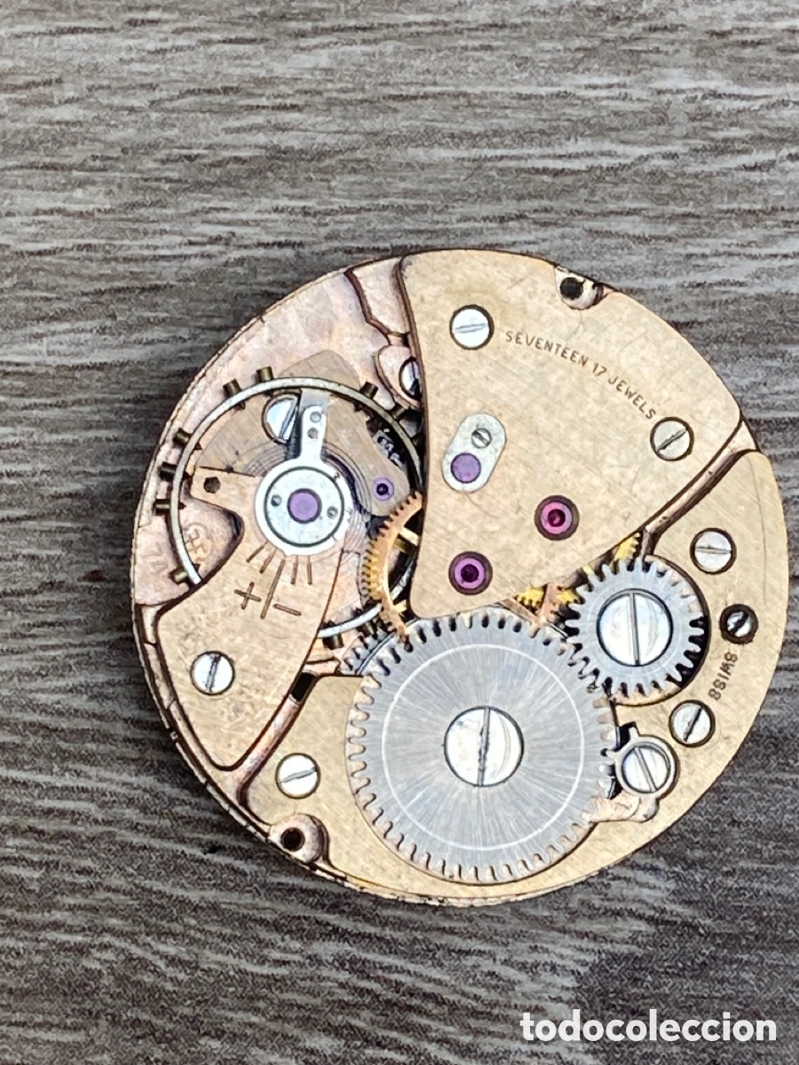 Recambios de relojes: Calibre reloj ref 7F 74 cuerda - Foto 1
