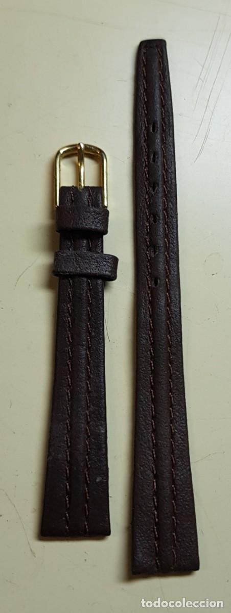 Spare Parts for Watches: Correa o pulsera para reloj de 12 mm. Marr&oacute;n (NUEVA)