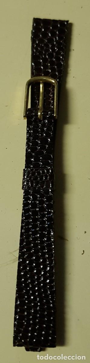 Spare Parts for Watches: Correa o pulsera para reloj de 12 mm. Marr&oacute;n (NUEVA)