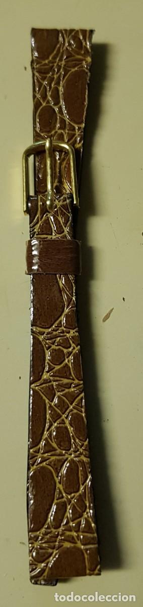 Spare Parts for Watches: Correa o pulsera de Cuero Marr&oacute;n de 12 mm. (NUEVA)