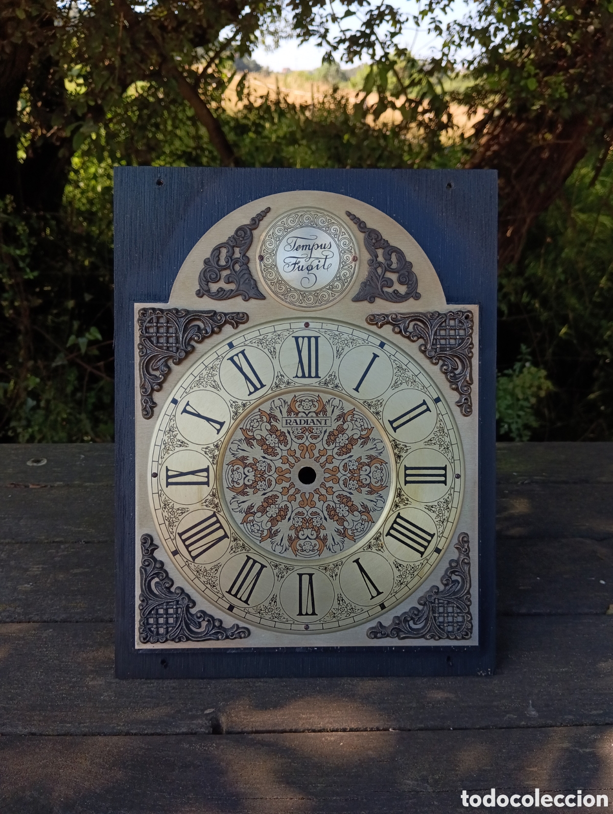 Recambios de relojes: ESFERA RELOJ DE PARED RADIANT. - Foto 2