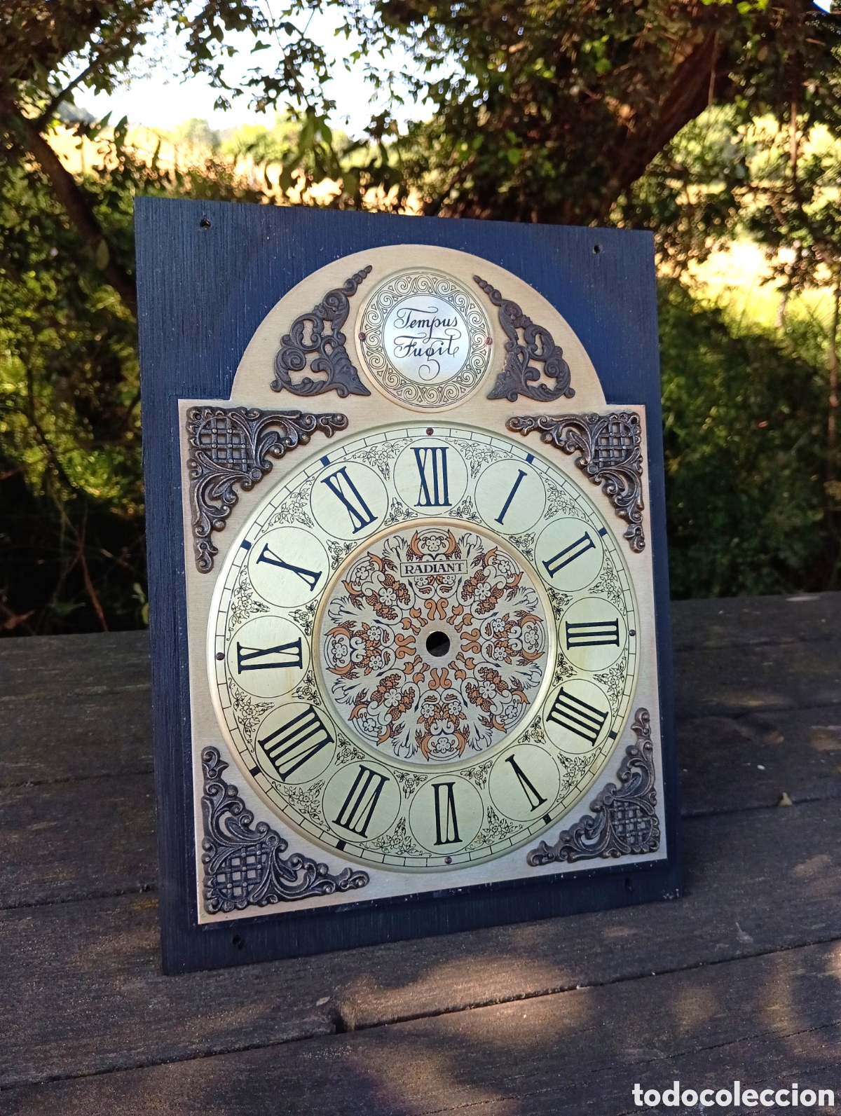 Recambios de relojes: ESFERA RELOJ DE PARED RADIANT. - Foto 1