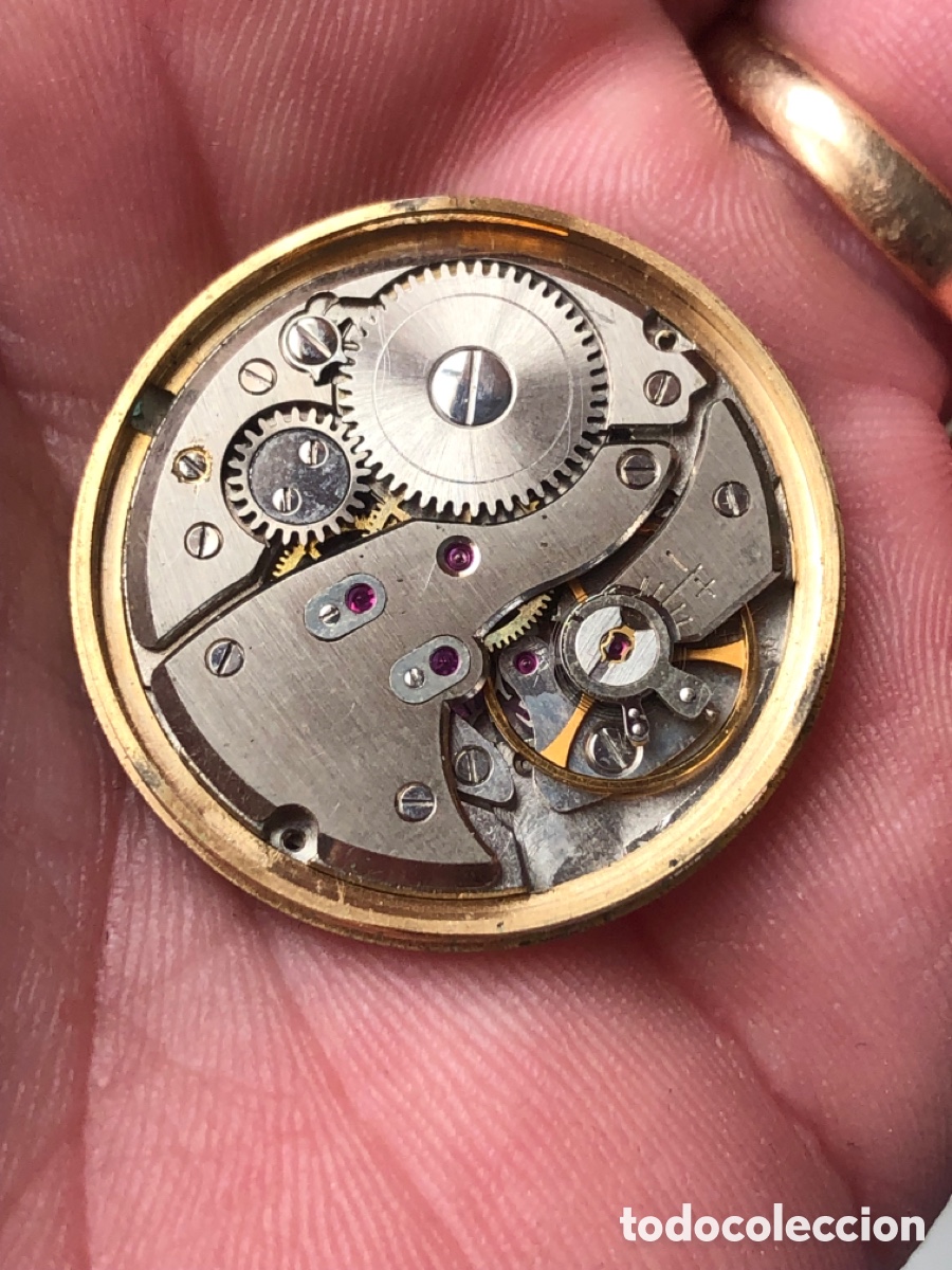 Recambios de relojes: Calibre reloj ref 7 F 66-4N