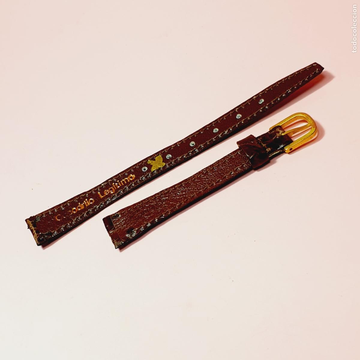 Recambios de relojes: CORREA PIEL DE COCODRILO-12 MM-NUEVA-MARR&Oacute;N/CASTA&Ntilde;O-VER FOTOGRAF&Iacute;AS-COLECCIONISTAS