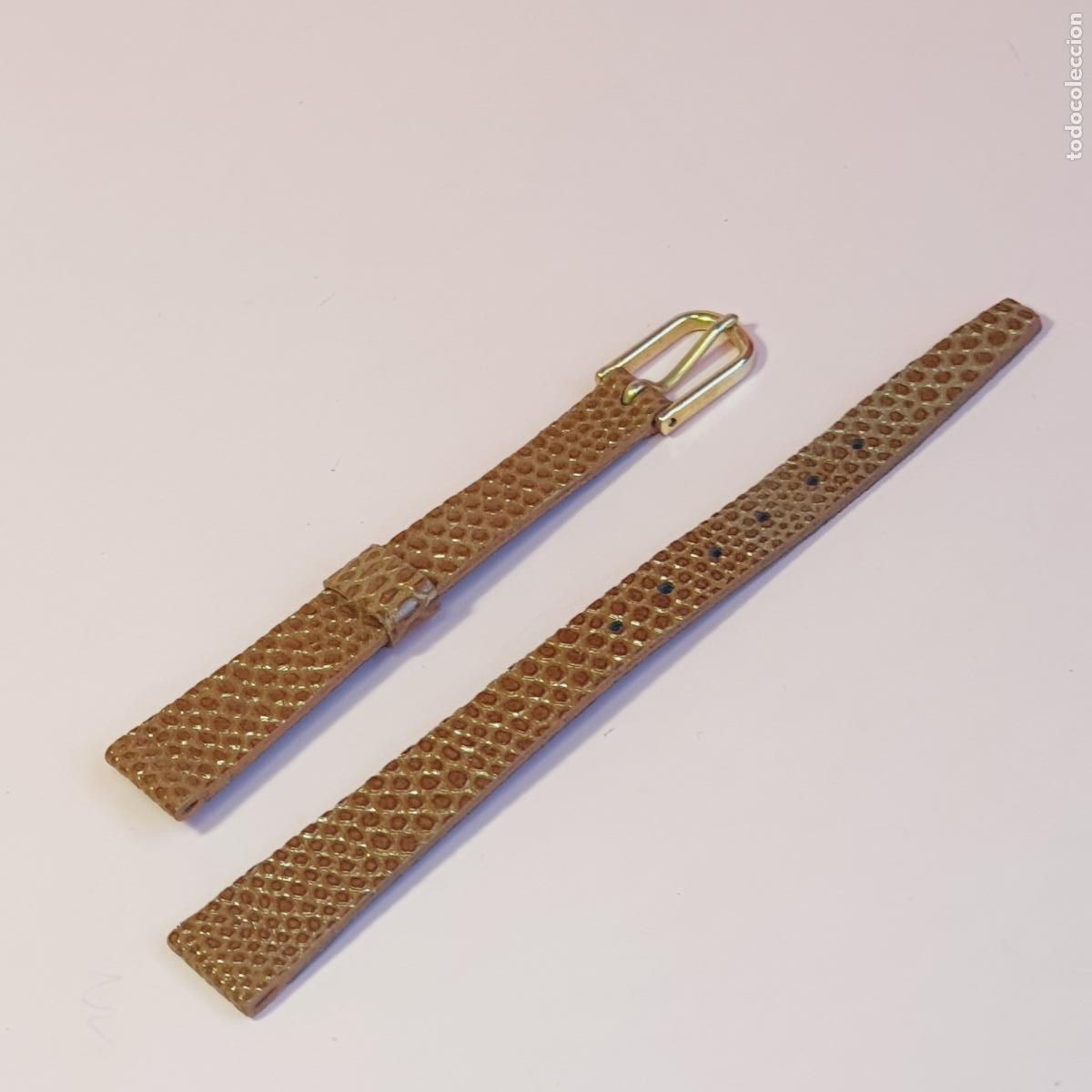 Recambios de relojes: CORREA RELOJ-PIEL DE BECERRO-12 MM-NUEVA-ACABADO LAGARTO-VER FOTOGRAF&Iacute;AS.