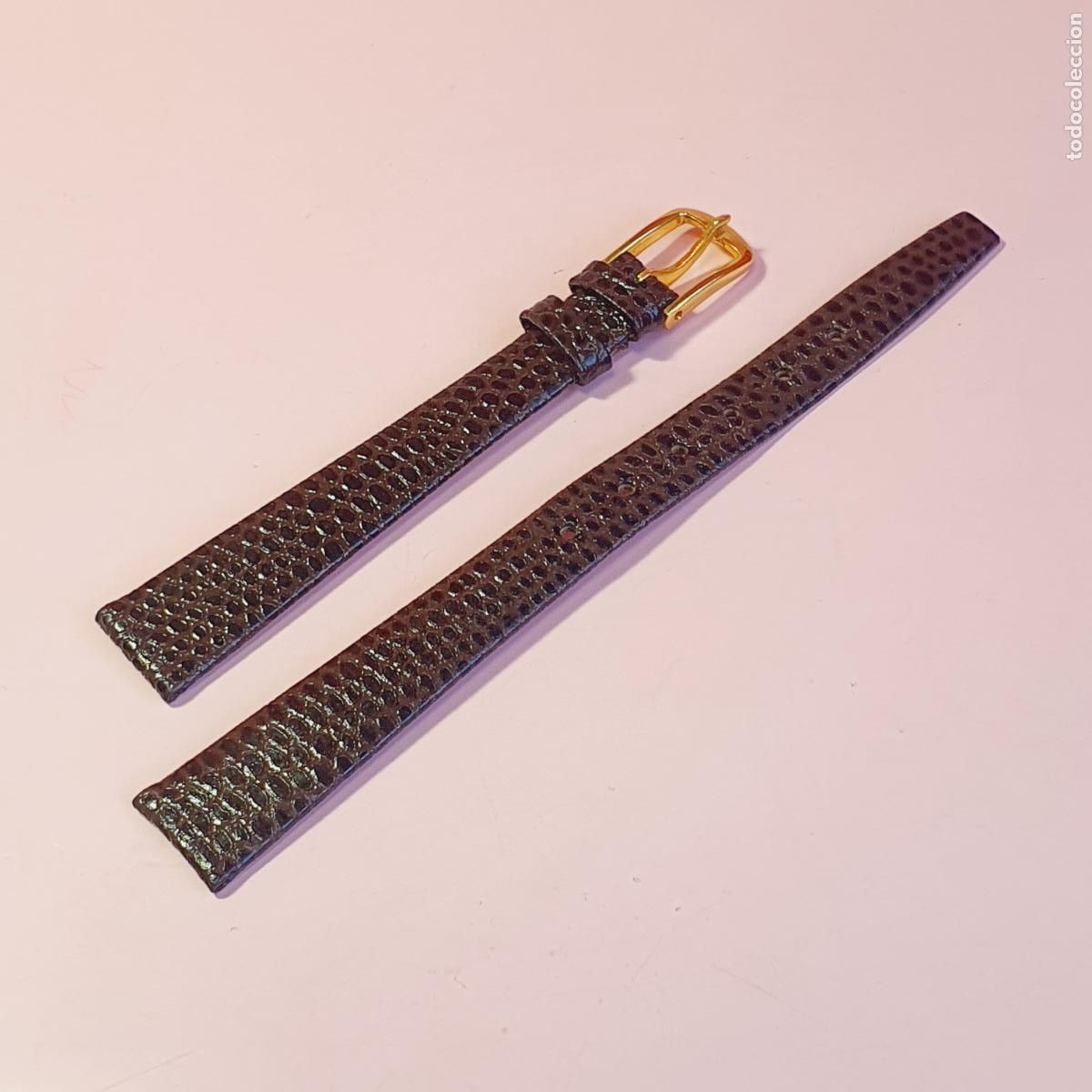 Recambios de relojes: CORREA-RELOJ-PIEL DE BECERRO-12 MM-ACABADO LAGARTO:..-NUEVO-MARR&Oacute;N-VER FOTOGRAF&Iacute;AS