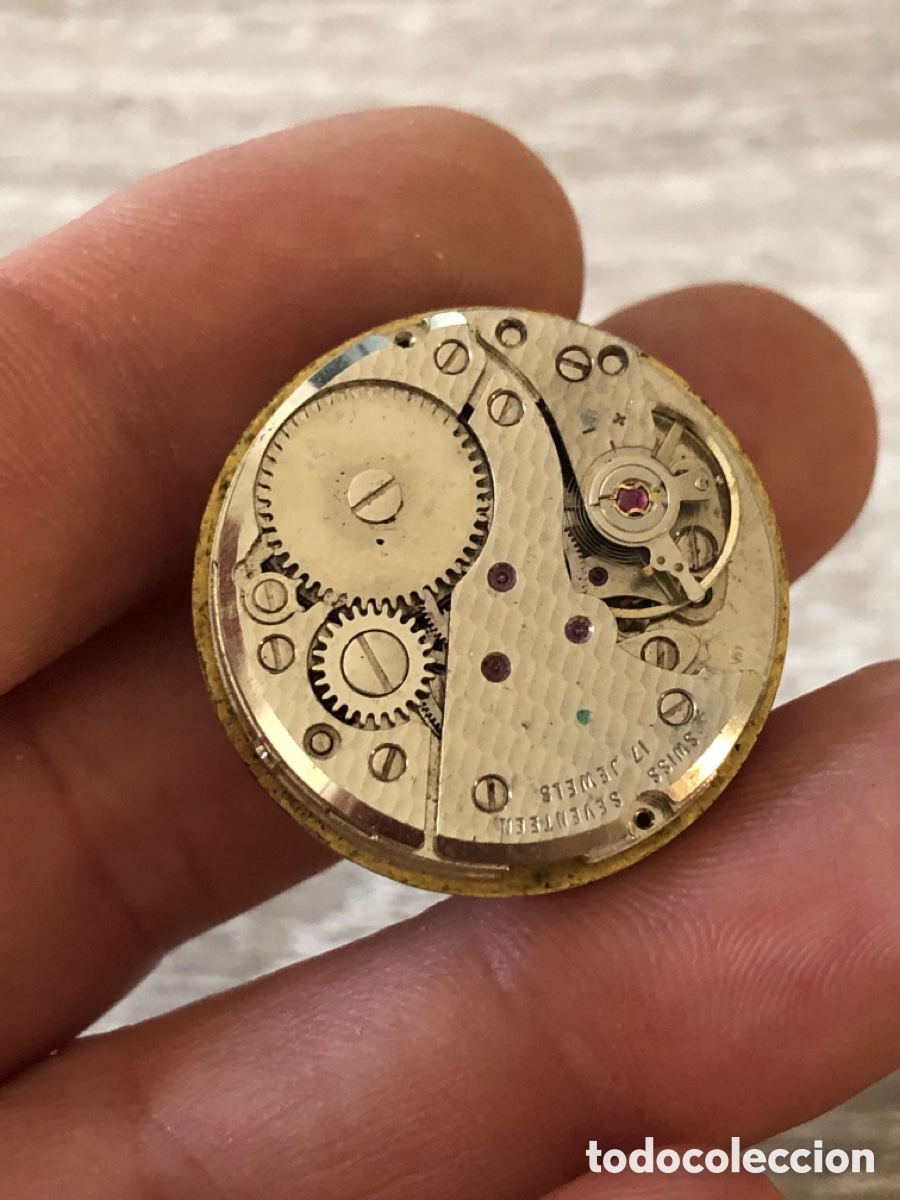 Recambios de relojes: Calibre reloj ref 7F 974 de cuerda - Foto 2