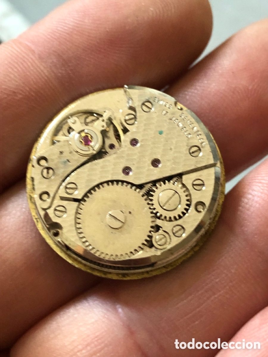 Recambios de relojes: Calibre reloj ref 7F 974 de cuerda - Foto 5