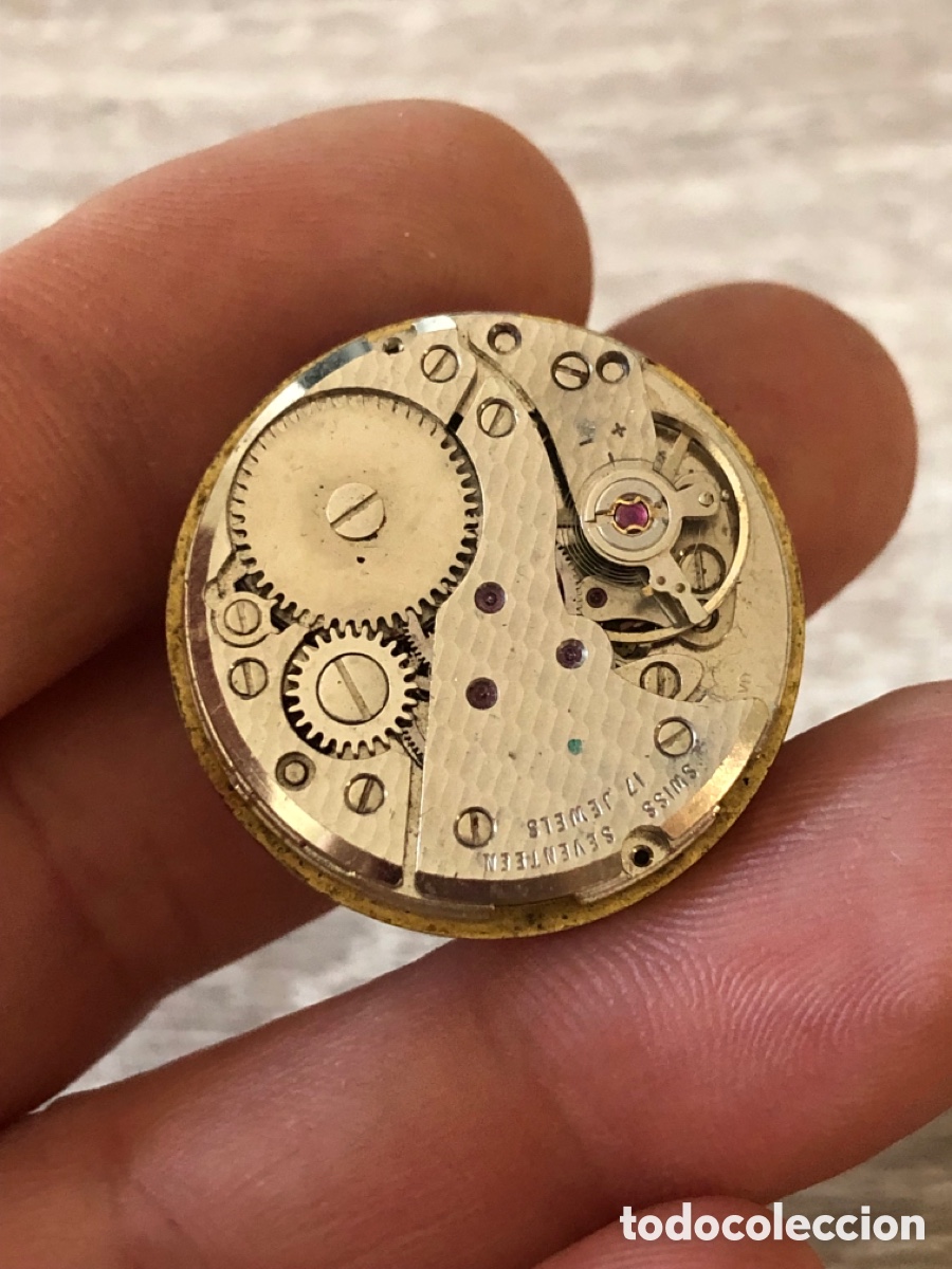 Recambios de relojes: Calibre reloj ref 7F 974 de cuerda