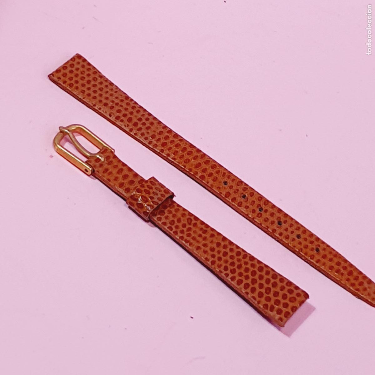 Recambios de relojes: CORREA RELOJ-PIEL GENU&Iacute;NA-ACABAD CASTA&Ntilde;O COCODRILO-NUEVA