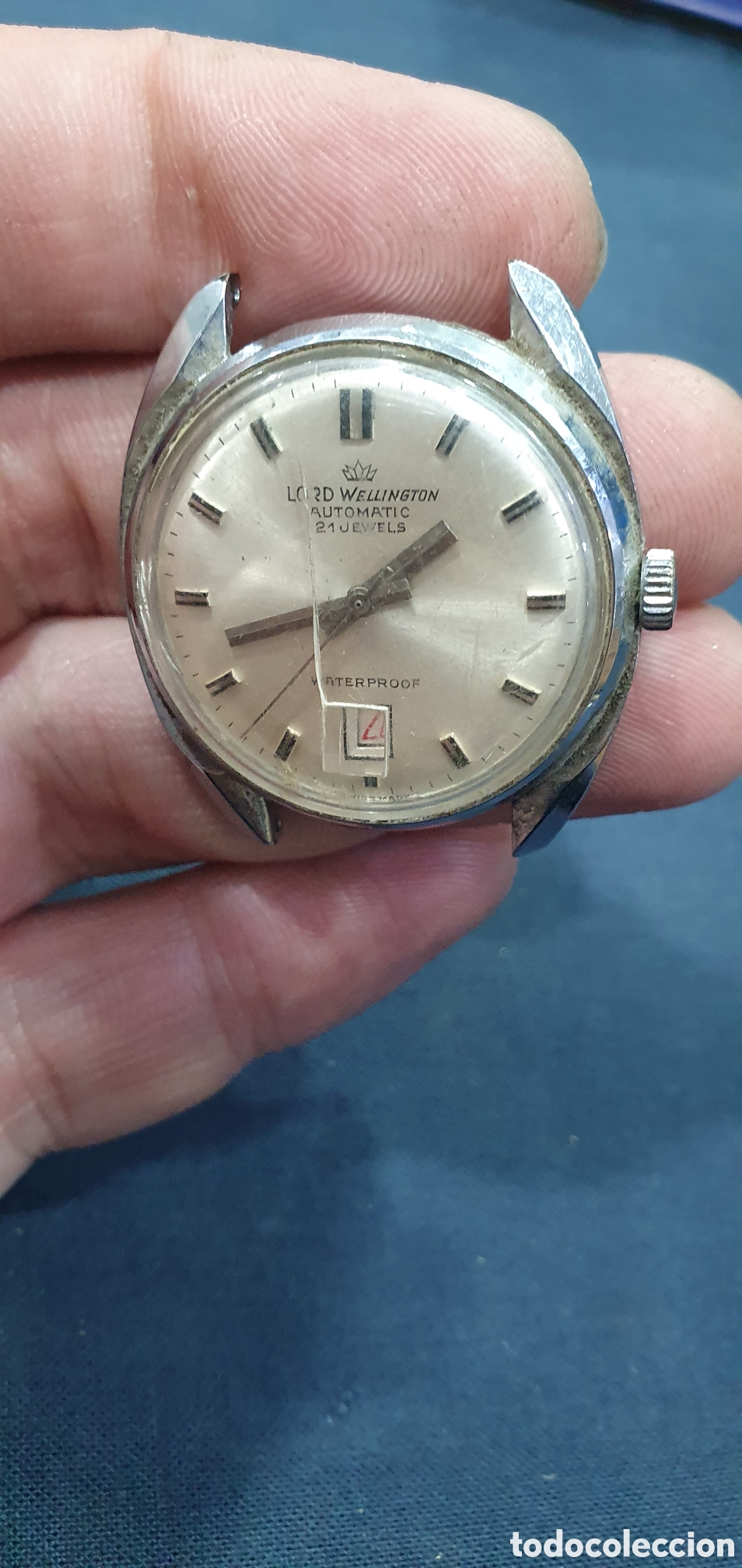 Recambios de relojes: Reloj de pulsera Lord Wellington. (L139)